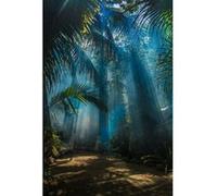 Tableau sur verre synthétique forêt tropicale 65x97 cm CEANOTHE Décoration Murale Art Décoratif Muraux Peinture Imprimée en HD Salon Chambre Bureau Fabriqué en France Bleu G