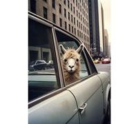 Tableau sur verre synthétique lama street 80x120 cm CEANOTHE Décoration Murale Art Décoratif Muraux Peinture Imprimée en HD Salon Chambre Bureau Fabriqué en France Gris