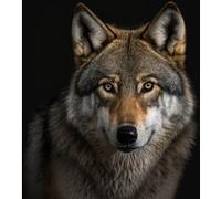 Tableau sur verre synthétique portrait loup 90x90 cm CEANOTHE Décoration Murale Art Décoratif Muraux Peinture Imprimée en HD Salon Chambre Bureau Fabriqué en France Marron G