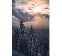 Tableau sur verre synthétique sunset forêt 65x97 cm CEANOTHE Décoration Murale Art Décoratif Muraux Peinture Imprimée en HD Salon Chambre Bureau Fabriqué en France Beige G