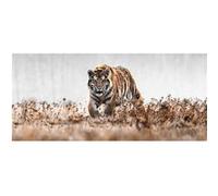 Tableau sur verre synthétique tigre en chasse 65x145 cm CEANOTHE Décoration Murale Art Décoratif Muraux Peinture Imprimée en HD Salon Chambre Bureau Fabriqué en France Marron clair G