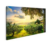 Tableau Tableaux Panorama de la campagne de la Maremme et des oliviers au coucher du soleil Casale Marittimo Pise Toscane Italie Cadre sur Toile Impression Photo Affiches