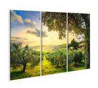 Tableau Tableaux Panorama de la campagne de la Maremme et des oliviers au coucher du soleil Casale Marittimo Pise Toscane Italie Cadre sur Toile Impression Photo Affiches