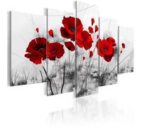Tableau - TD® - Coquelicots Rouges - 5 pcs - Toile Décoration Murale - Salon Moderne