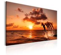 Tableau Imprimé "The Dolphin's Dance" 40 x 60 cm Multicolore G