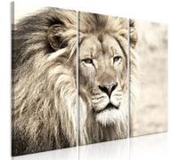 Tableau The King of Beasts (3 Parts) Beige-Taille L 90 x H 60 cm Imprimé