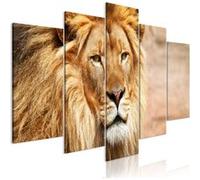 Tableau 5 Panneaux "The King of Beasts Wide Orange" 50 x 100 cm Multicolore G