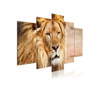 Tableau The King of Beasts (5 Parts) Wide Orange-Taille L 200 x H 100 cm