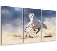 Tableau triptyque Animal Le Cheval Blanc - 90x60 cm - Made in France - 90x60