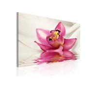 Tableau Unusual orchid-Taille L 60 x H 40 cm Imprimé G