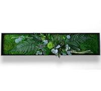 Tableau Végétal "Australia" Stabilisé XL 100 x 33 cm - Décoration Murale Naturelle | Plantes Stabilisées Sans Entretien | Fabriqué en France
