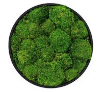 Tableau végétal - ECD Germany - Vert - Ø 30 cm - Mousse boule stabilisée Cadre rond Effet 3D