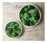 Tableau végétal naturel rond en mousse stabilisée - lot de 2- forest