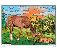 Tableau Velours À Colorier Jument Et Poulain