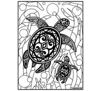 Tableau Velours À Colorier La Tortue