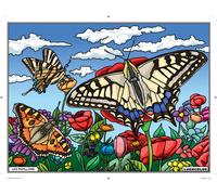 Tableau Velours À Colorier Les Papillons