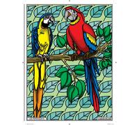 Tableau Velours À Colorier Les Perroquets