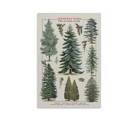 Tableau Vintage Grovers Guide Sapin de Noël Diagramme Hiver Peinture Murale Toile Imprimée Affiche Décorative pour Salon Chambre Salle de Bain Bureau Décoration Maison 30x45cm(12x18inch)