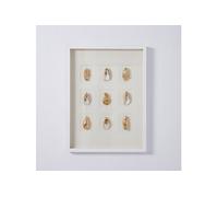 Tableau vitrine à huîtres coloris blanc, doré avec cadre blanc - Longueur 80 x Profondeur 5 x Hauteur 60 cm