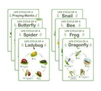 Tableaux d ' apprentissage de l ' étude de la nature pour les cours | Pack de huit affiches montrant les phases de croissance des créatures, ressource visuelle pour l ' école à domicile