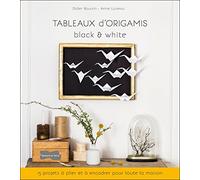 Tableaux d'origamis black & white: 15 projets à plier et à encadrer pour toute la maison