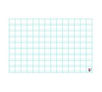 Tableaux souples effaçables à sec - L 80 x l 120 cm - Doubles lignes