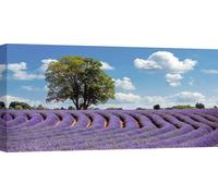 Tableaux sur toile - Champs de lavande en Provence, France - 70x35 cm