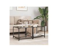 vidaXL Tables basses avec dessus en verre noir 2 pcs 50x50x40 cm acier, table d'appoint, table de salon, table à thé, bout 845973 Noir G