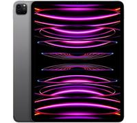 Tablette Apple iPad Pro Wi-Fi + Cellular 128 Go 12.9 pouces Gris