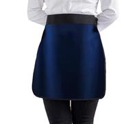 Tablier en Plomb Tablier Demi-plomb Avec Ceinture Adhésive Réglable, Protections For Radiologie Interventionnelle À Rayons X 45 X 45 Cm(Dark blue,0.5MMPB)