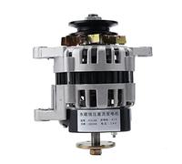 TABODD Aimant Permanent 2000W Générateur Moteur Puissance 14V Petit Générateur Aimant Permanent Sans Balais Pression Constante Maison Coeur Fil Cuivre Pur Pour