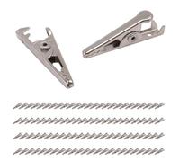 Tacdas 100PCS 1.06 Pouces / 27Mm Mini Pinces Crocodiles en MéTal, Pinces Crocodile Pinces à Ressort de Ligne de Test PlaquéEs Ton Argent.