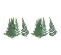 Tacdas 120 Pièces Herbier de Fougère Verte Séchée pour à Bricoler Soi-Même Carte Postale Carte D'Invitation Coque de Téléphone Feuilles de Pennisetum