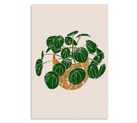 Tacdas Adaptateur D'Antenne D'Autoradio Double Fakra, Prise Fakra, Câble de Connecteur de Navigation FM pour Autoradios de Véhicule