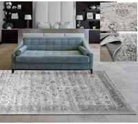 Tadi & Imperio1979 Tapis de Salon Classique très Fin de Style Traditionnel et élégant Couleurs Beige, Taupes et Argent.