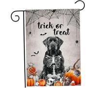 Tadoiooy Décor d'halloween, Drapeau du Jardin d'halloween 12x18 Pouces Drapeau à Double Face de la Cour de sorcière résistant aux sorcières Pas Toutes Les sorcières ne vivent Pas dans Le décor Drap