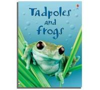 Tadpoles and Frogs