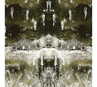 Tadpoles Vinyle