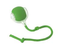 TADSFVC Balle Interactive Intelligente Rechargeable for Animal de Compagnie, Jouet motorisé, Souris de Simulation de Dressage de Chien et de Chat, 3 Modes, Balle de réveil Jeu Chat(Rope-Green)