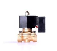 TADZKKIWM Électrovanne en Laiton normalement fermée 24VDC 12VDC 110VAC 220v, électrovanne Non Chaude for gaz, for Un Fonctionnement Long(36893,220VAC)