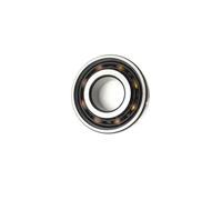 TADZKKIWM Roulement à Billes à Gorge Profonde NTN 6205, 25 x 52 x 15 mm, 6003RS 2RS, avec Cage en Nylon, 1 pièce