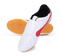 Taekwondo Boxing Kung Fu Chaussures de Haute qualité en Cuir Léger Léger Non Slip Oxford Sela Martial Entraînement de Chaussures pour Hommes Femmes Enfants Blanc Rouge 28 45, 11, 38 EU