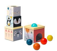 Taf Toys - 12735 - Boite à balles