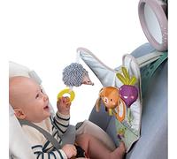 Taf Toys - 13105 - Jouet de voiture jardin