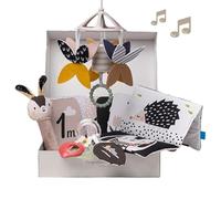 Taf Toys Coffret cadeau pour nouveau-né noir et blanc 10 jouets pour nouveau-nés à contraste élevé avec hochet mobile, livre sensoriel et plus encore Jouets essentiels pour le ventre Idéal pour les