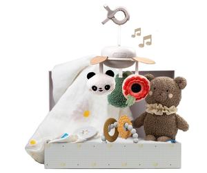 Taf Toys Luxury Newborn Kit coffret cadeau pour bébés