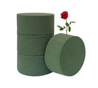 TAFACE Lot de 4 pièces de mousse de fleurs rondes, humides et sèches, pour bouquets et compositions florales, mariages et magasins (vert)