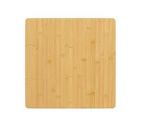 Tafelblad 50x50x2,5 cm bamboe352699