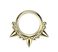 Taffstyle Piercing septum, oreille, cartilage, anneau segmenté, nez, hélix, pointes et boules, 1,2mm x 8mm, Acier inoxydable