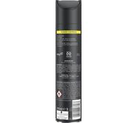 taft Power Express Laque Fixation 5 jusqu'à 24h Fixation très forte 250g